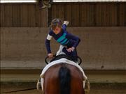 voltitag 2009 _CD1 107